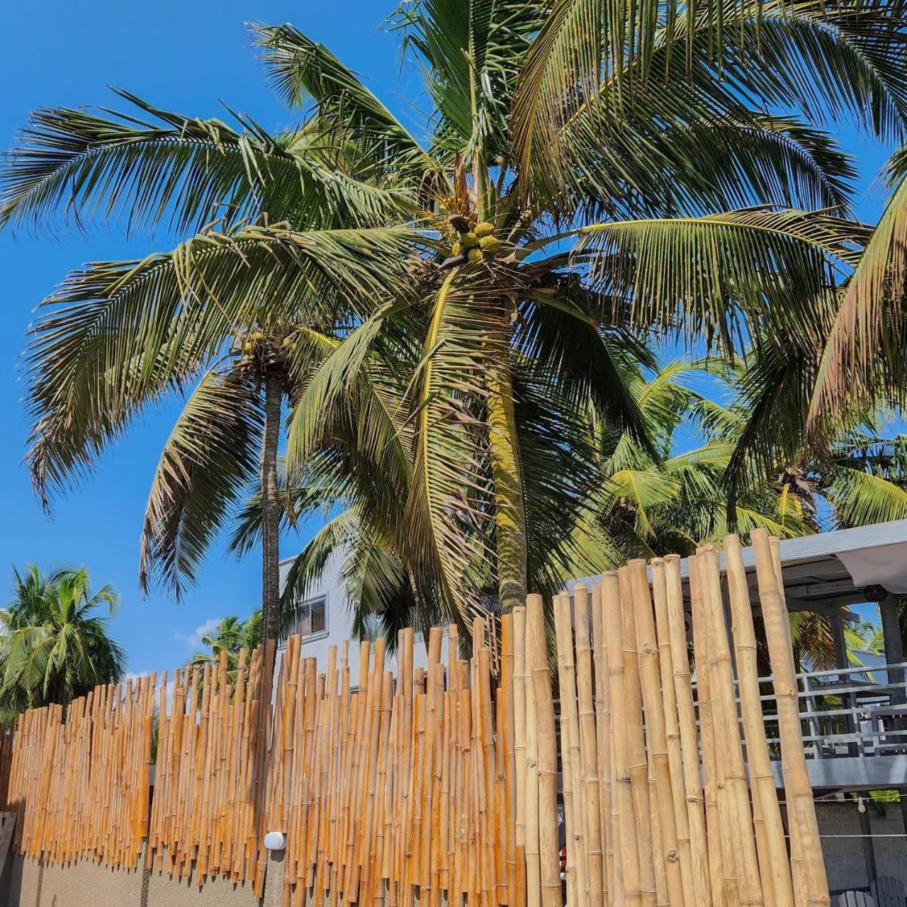 Serenity Terraces Beach, Hotel - Kokrobite Exterior photo